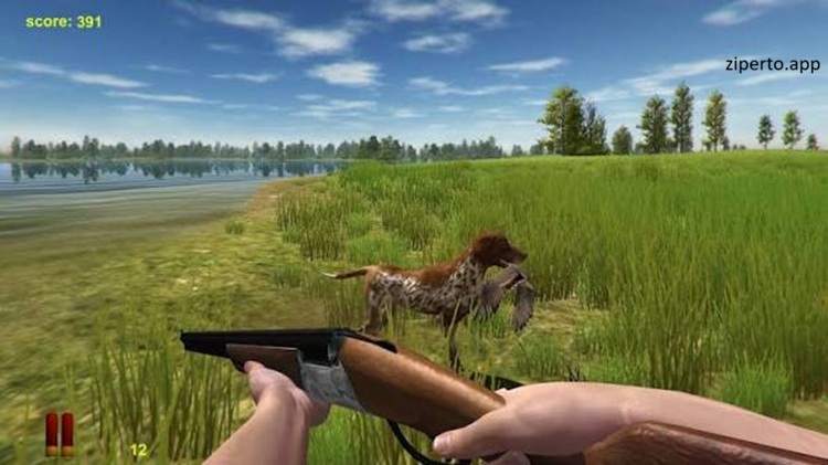 A Game About Shooting Ducks 2026 featuring duck shooting, hunting upgrades and colorful gameplay.