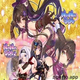 Days Collection: NinNin Heroines 2026 featuring ninja heroines and romance visual novel scenes.