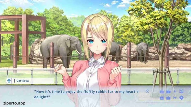Days Collection: NinNin Heroines 2026 featuring ninja heroines and romance visual novel scenes.