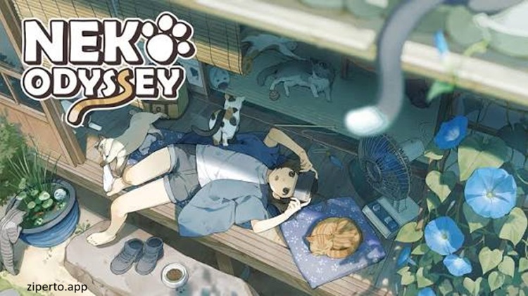 Neko Odyssey 2026 allow cat photography adventure.